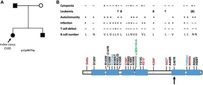 Case Report: A Highly Variable Clinical and Immunological Presentation of IKAROS Deficiency in a Single Family